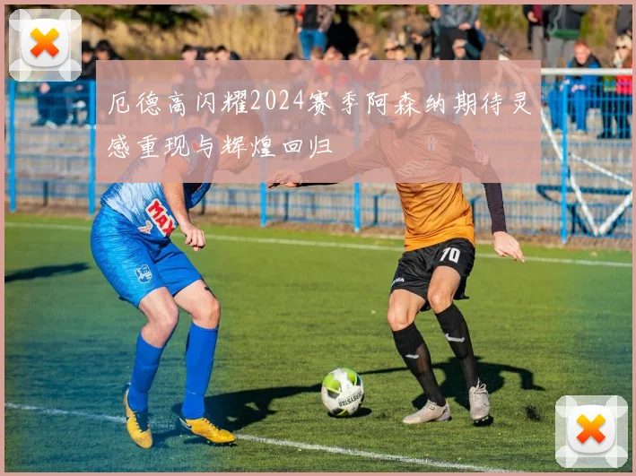 厄德高闪耀2024赛季阿森纳期待灵感重现与辉煌回归